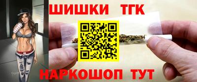 spice Дубна