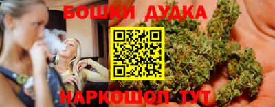 spice Дубна