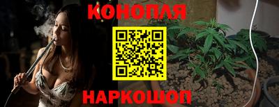 spice Дубна