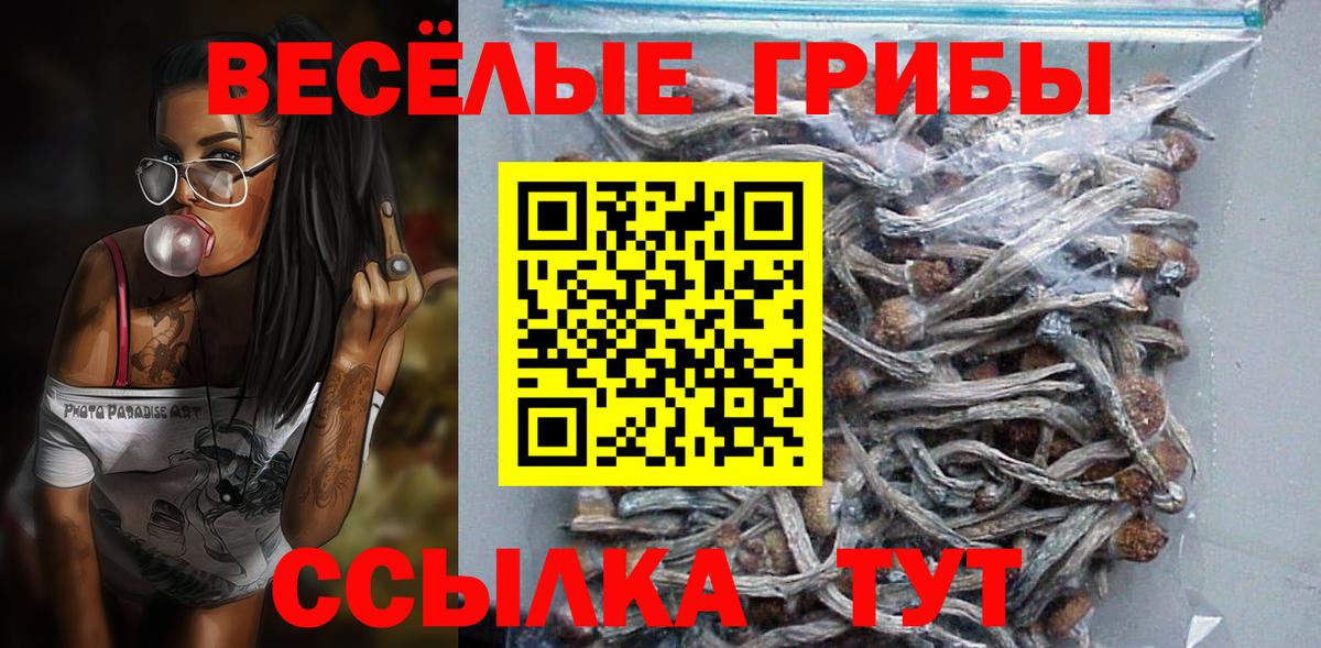 Дальнереченск  Псилоцибиновые грибы прущие грибы  Вход с VPN  Галлюциногенные грибы Psilocybe 